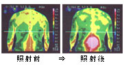 ˲~饻öWuiv